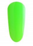 The Gel Bottle  Lime Punch