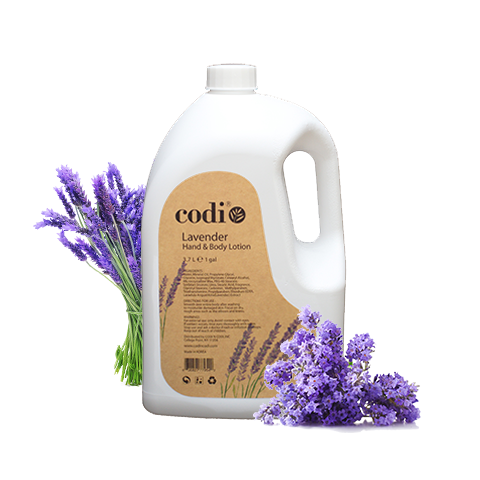 Codi Lavender Lotion Gallon x 3