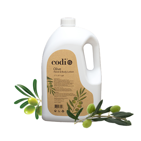 Codi Olive Lotion Gallon x 3