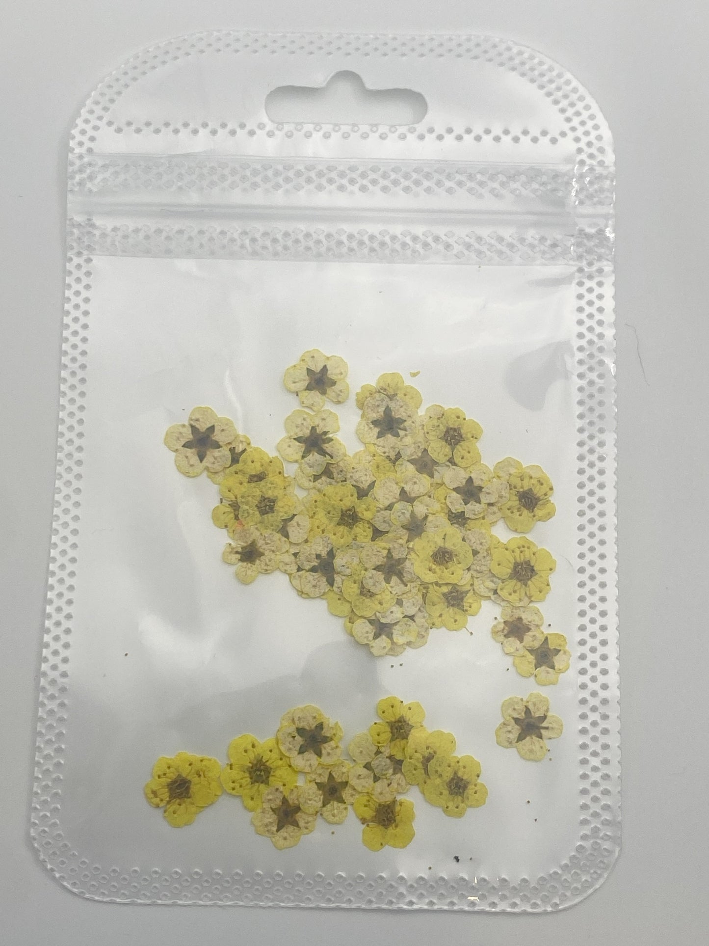 Dried Flowers - Light Yellow Daisies